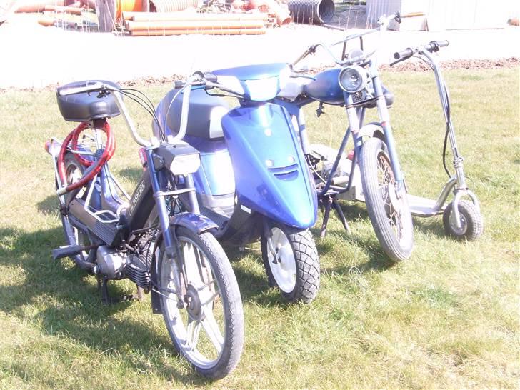 Sco                    3 gear billede 6