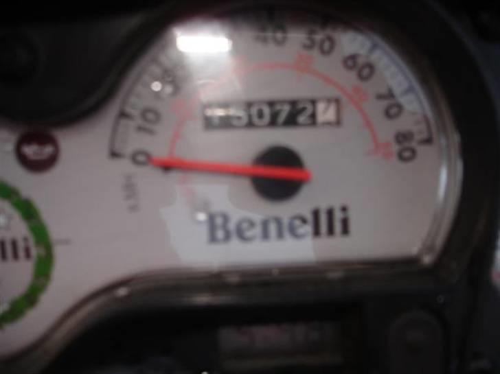 Benelli 491 AC (SOLGT)  billede 5