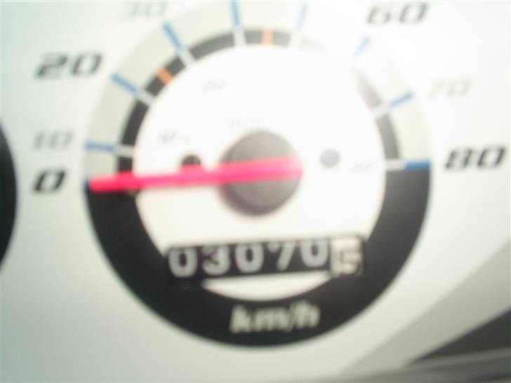 PGO Hot 50 billede 15