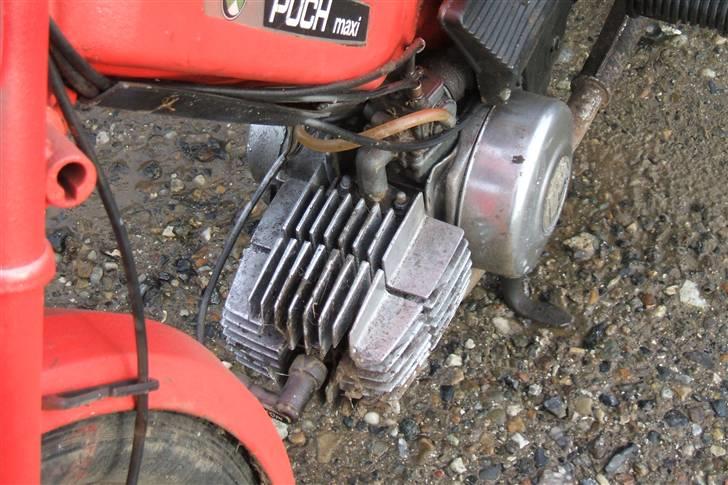 Puch Maxi k billede 9