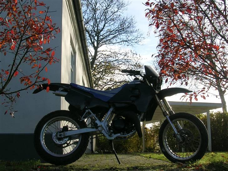 Suzuki SMX. billede 1