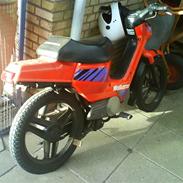 Honda Wallaroo byttet