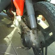 Honda Wallaroo byttet