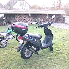 PGO big max 
