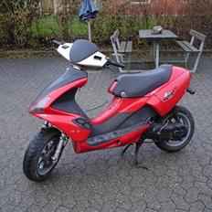 Benelli 491 AC (Efter) (SOLG)