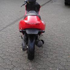 Benelli 491 AC (Efter) (SOLG)