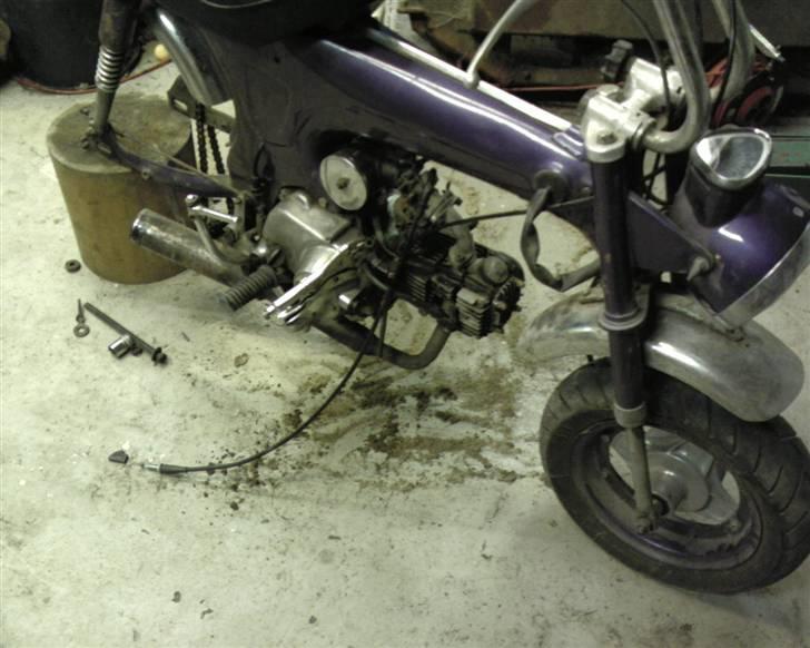 Honda dax (solgt/byttet) billede 7