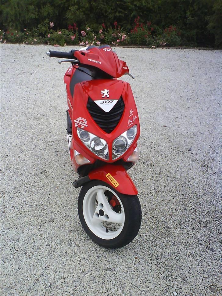 Peugeot wrc 307 billede 3