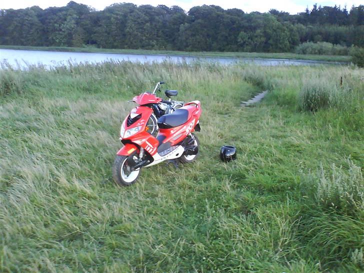 Peugeot wrc 307 billede 6