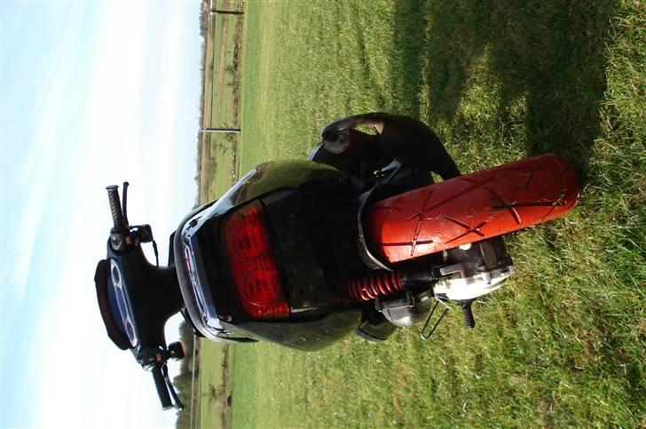 PGO dr.big byttet til street billede 5