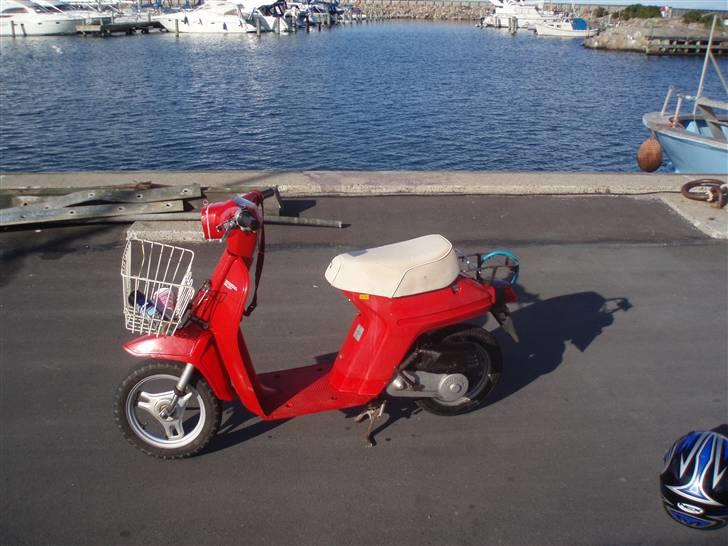 Honda Mini Melody billede 9