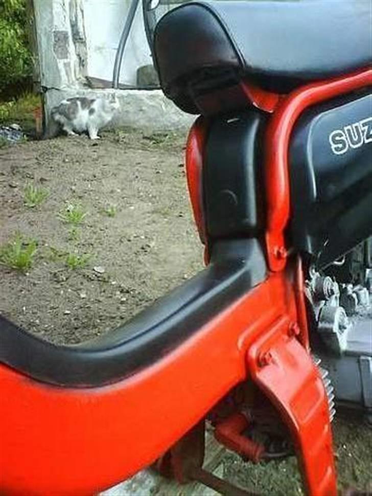 Suzuki FZ 50 -=[ Solgt ]=- billede 3