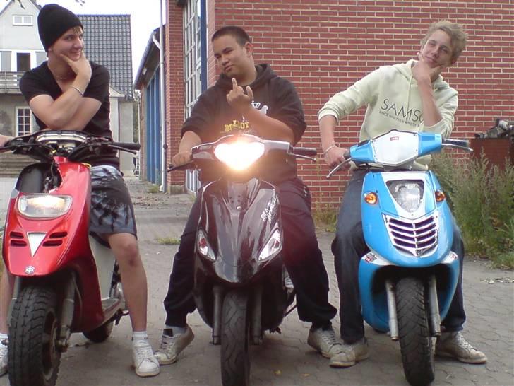 Piaggio Typhoon *Byttet til Puch* - Miig og 2 af mine bedste venner :b billede 10