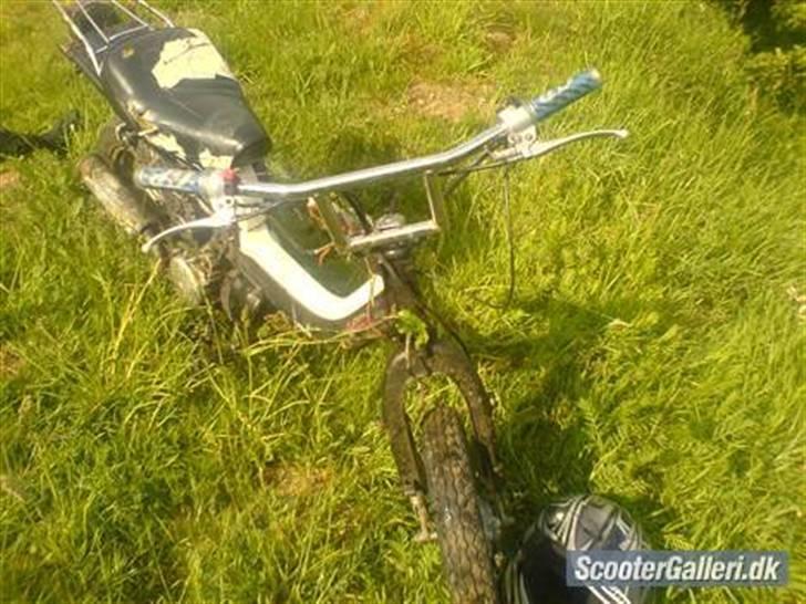 Suzuki FZ50 billede 2