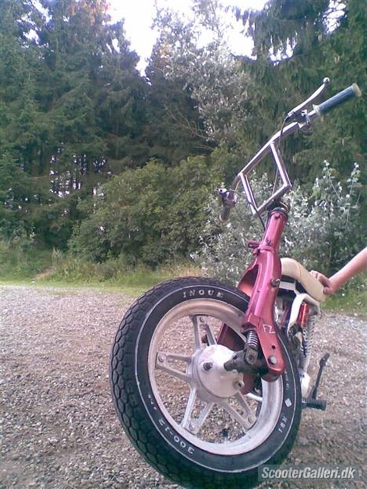 Suzuki FZ50 billede 3