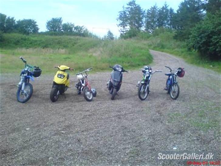 Suzuki FZ50 billede 4