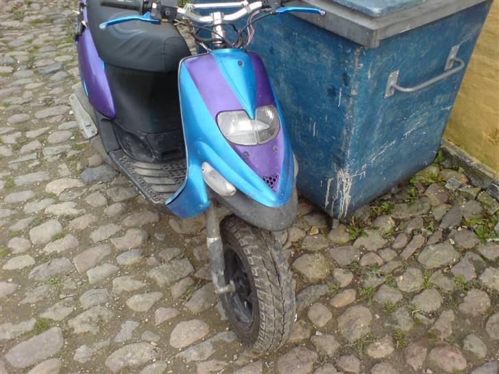 Gilera stalker byttet  billede 2