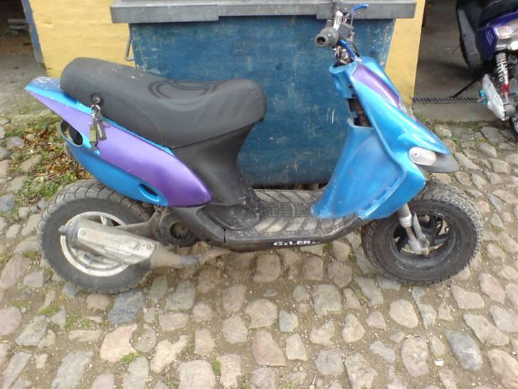 Gilera stalker byttet  billede 3