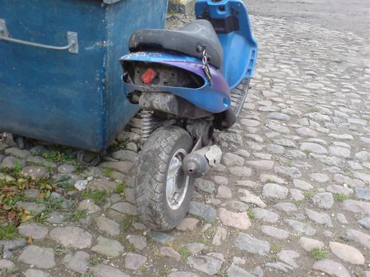 Gilera stalker byttet  billede 4