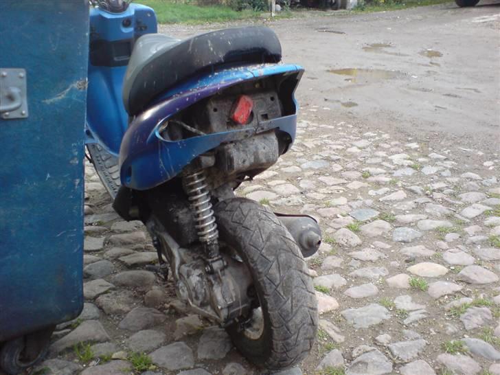 Gilera stalker byttet  billede 6