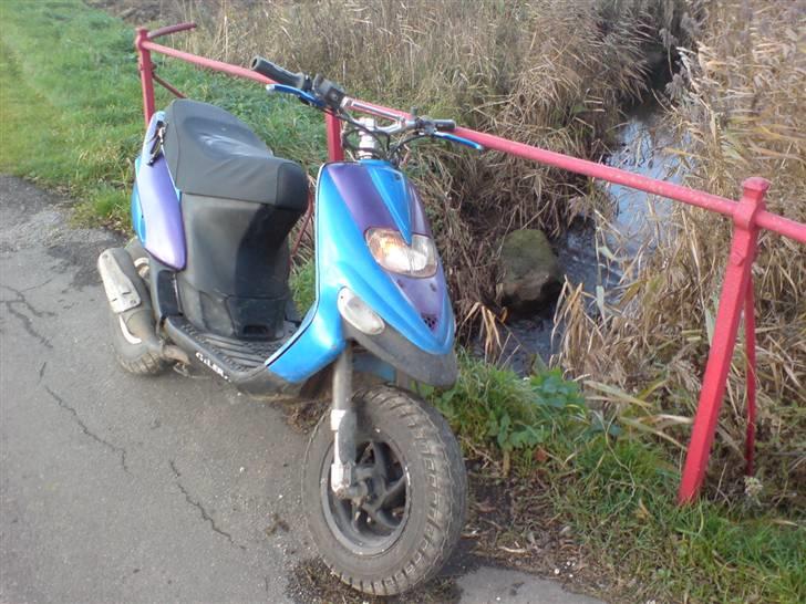 Gilera stalker byttet  billede 8