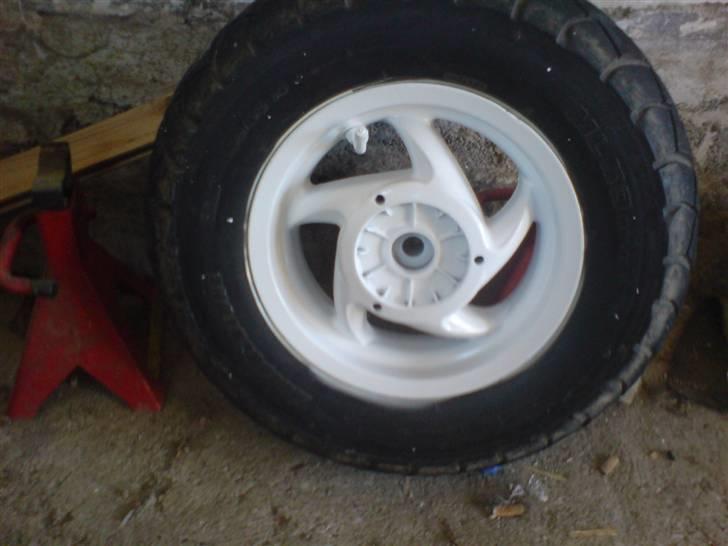 Gilera stalker byttet  billede 9