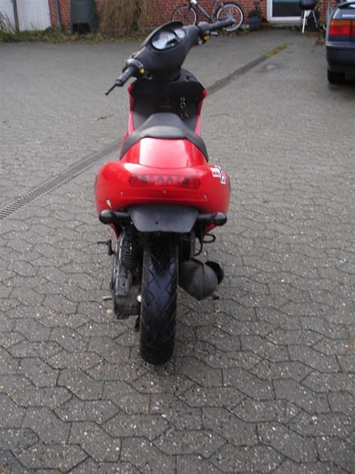 Benelli 491 AC (Efter) (SOLG) billede 3