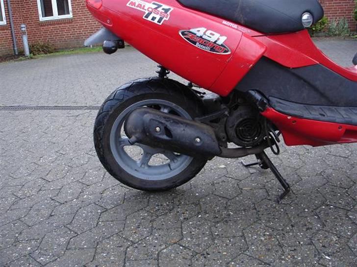 Benelli 491 AC (Efter) (SOLG) billede 4