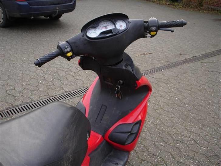 Benelli 491 AC (Efter) (SOLG) billede 8