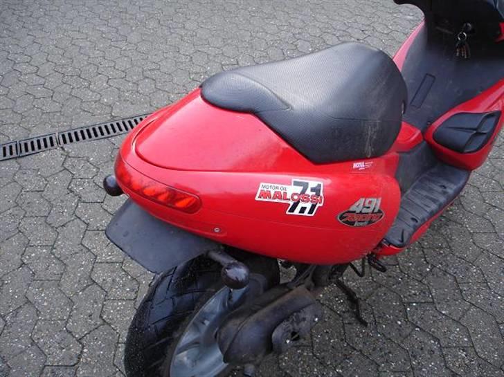 Benelli 491 AC (Efter) (SOLG) billede 9