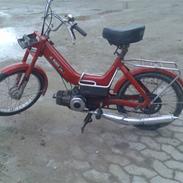 Puch maxi p
