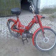 Puch maxi p