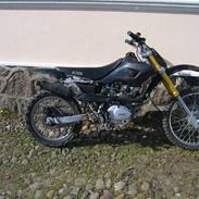 MiniBike AMS 125 SMIDT UD 