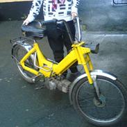 Puch maxi-p (SOLGT)