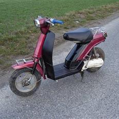 Yamaha passola $olgt