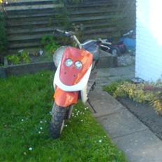 Adly cat 50 før smidt ud 