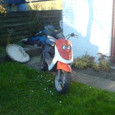 Adly cat 50 før smidt ud 