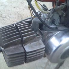 Puch maxi p
