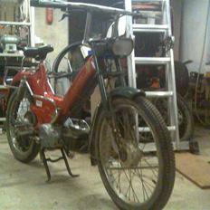 Puch maxi  (solgt)