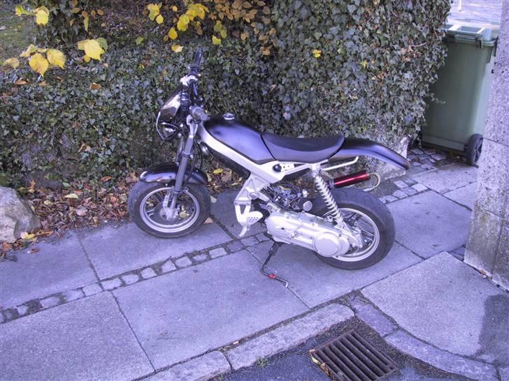 Suzuki Street Magic (Byttet væk) billede 2