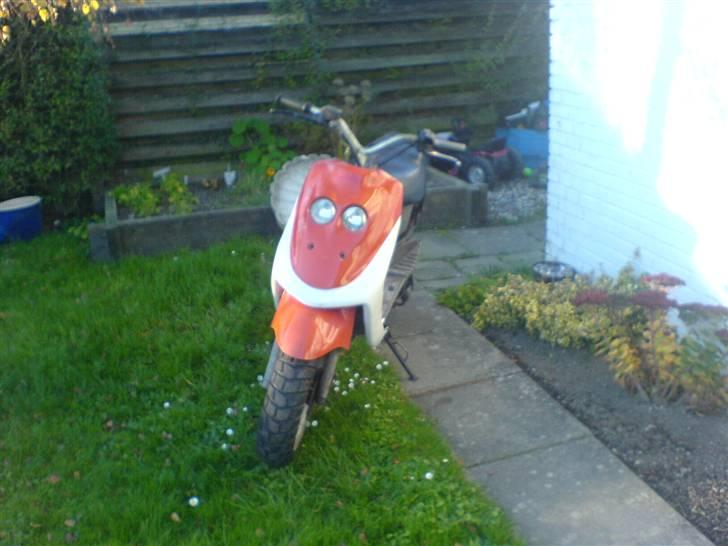 Adly cat 50 før smidt ud  billede 1