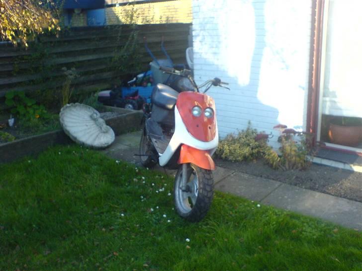 Adly cat 50 før smidt ud  billede 2