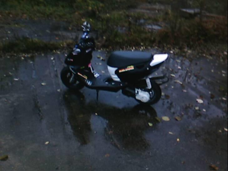 Aprilia Sonic    billede 4