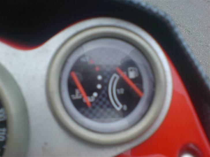 Derbi  predator solgt billede 7