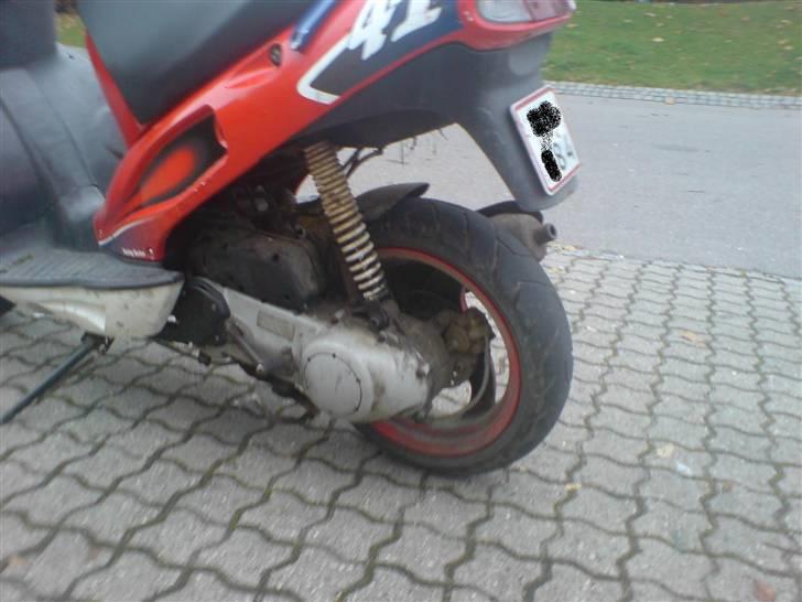 Derbi  predator solgt billede 8