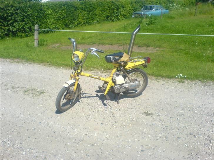 Honda Express - Den vilde maskine:D billede 1
