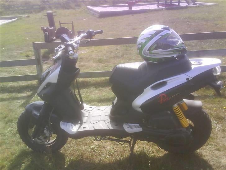 PGO Pmx Naked billede 18