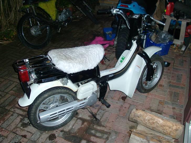 Suzuki fz50==>nakke<==:,( billede 1