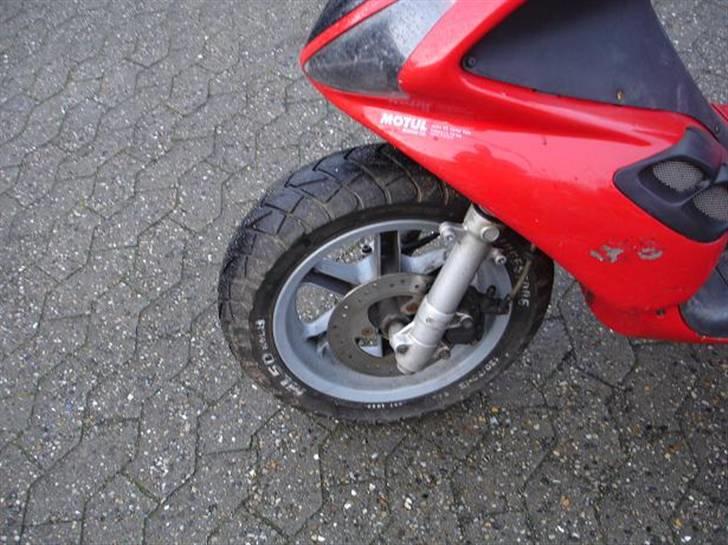 Benelli 491 AC (Efter) (SOLG) billede 12