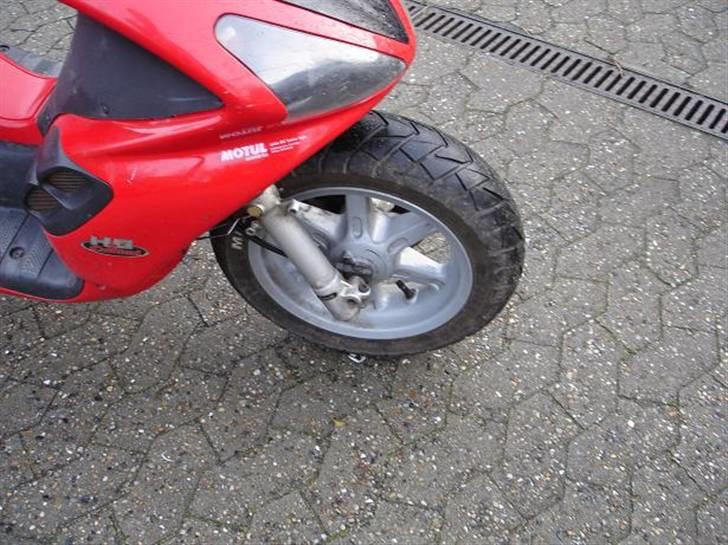 Benelli 491 AC (Efter) (SOLG) billede 13